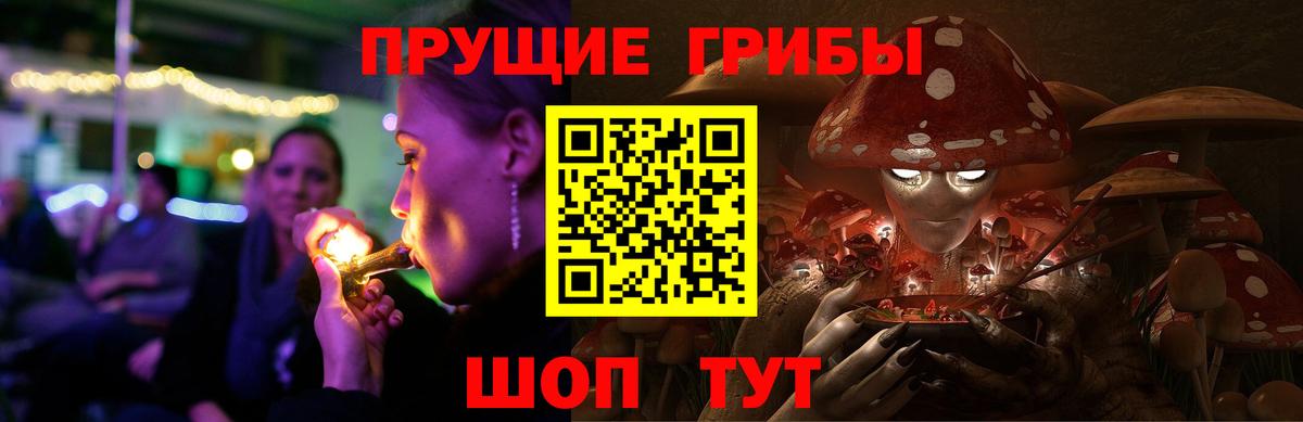 Галлюциногенные грибы MAGIC MUSHROOMS Вичуга